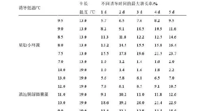 冬季池塘蓝藻爆发，突破哪些认知边界？