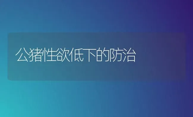 公猪性欲低下的防治 | 家畜养殖