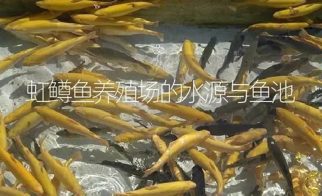 虹鳟鱼养殖场的水源与鱼池 | 淡水养殖