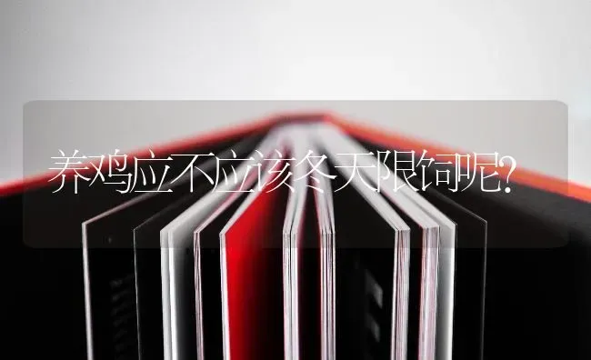 养鸡应不应该冬天限饲呢? | 家禽养殖