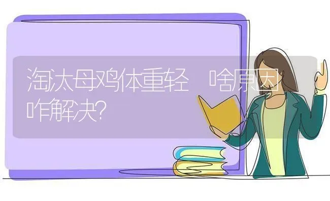 淘汰母鸡体重轻 啥原因 咋解决？ | 家禽养殖