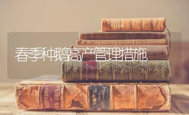 春季种鹅高产管理措施 | 家禽养殖