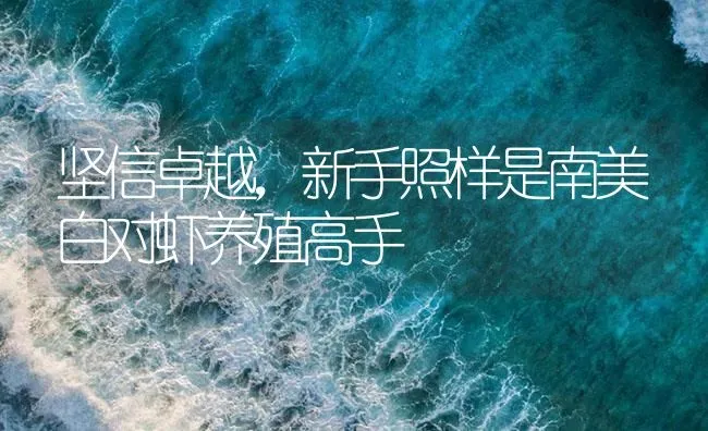 坚信卓越，新手照样是南美白对虾养殖高手 | 海水养殖