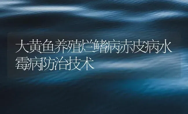 大黄鱼养殖烂鳍病赤皮病水霉病防治技术 | 海水养殖