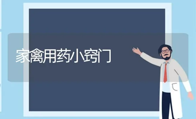 家禽用药小窍门 | 养殖病虫害防治