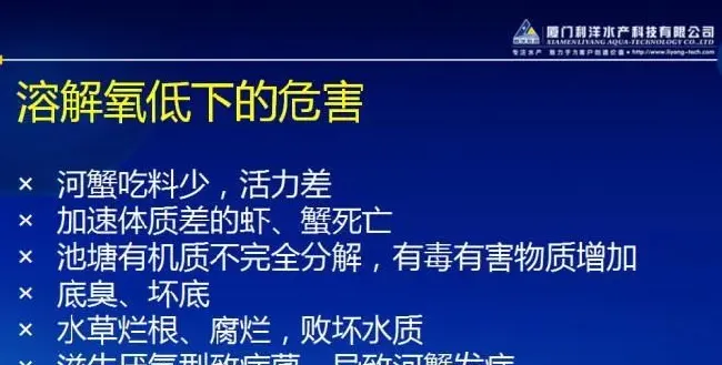 80%的河蟹塘里已经缺氧，你肯定不相信！