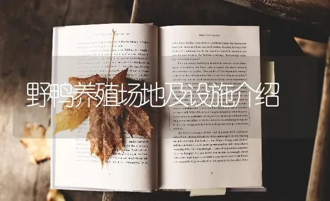 野鸭养殖场地及设施介绍 | 家禽养殖