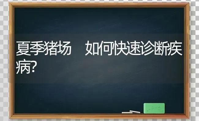 夏季猪场 如何快速诊断疾病？ | 家畜养殖