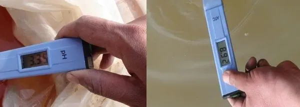 浅谈PH值高低对鱼类的影响