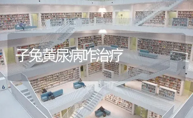 子兔黄尿病咋治疗 | 家畜养殖