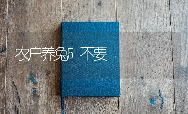 农户养兔5不要 | 家畜养殖