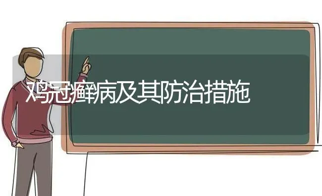 鸡冠癣病及其防治措施 | 家禽养殖