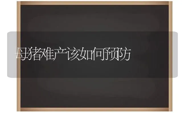 母猪难产该如何预防 | 家畜养殖