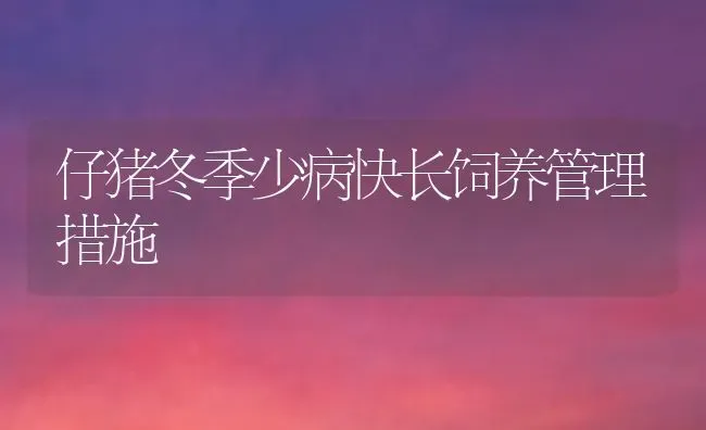 仔猪冬季少病快长饲养管理措施 | 家畜养殖