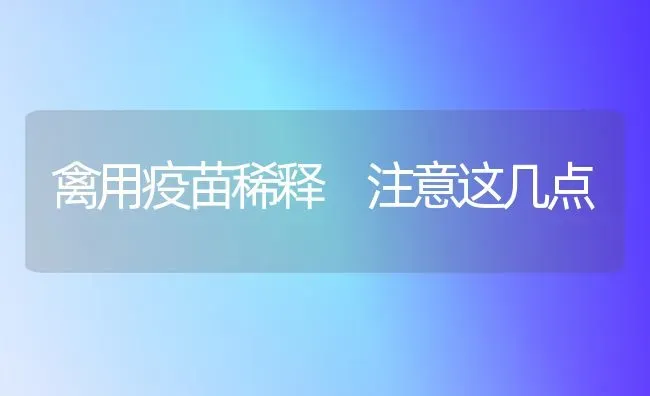 禽用疫苗稀释 注意这几点 | 家禽养殖