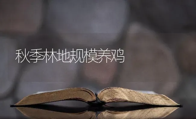 秋季林地规模养鸡 | 家禽养殖