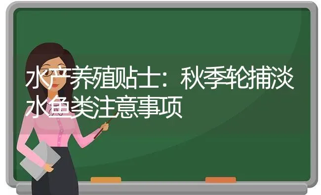 水产养殖贴士：秋季轮捕淡水鱼类注意事项 | 动物养殖百科