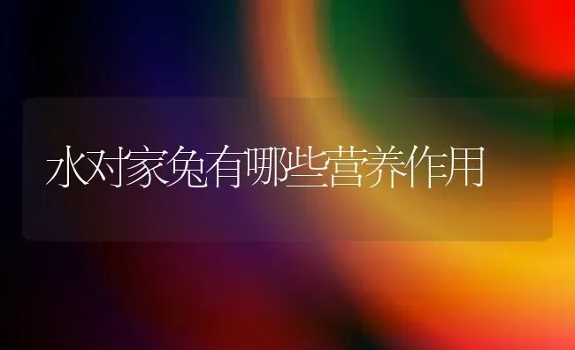 水对家兔有哪些营养作用 | 家畜养殖