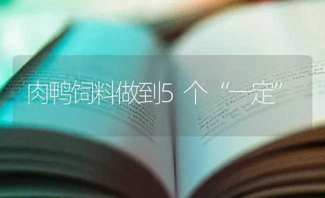 肉鸭饲料做到5个“一定” | 家禽养殖