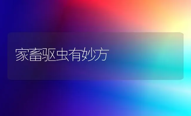 家畜驱虫有妙方 | 家畜养殖