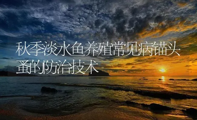 秋季淡水鱼养殖常见病锚头蚤的防治技术 | 养殖病虫害防治