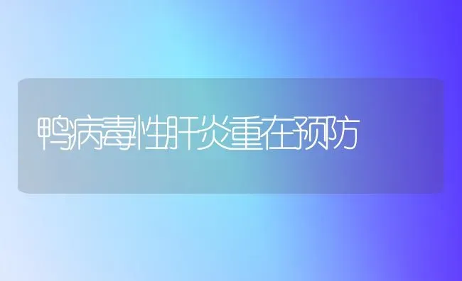 鸭病毒性肝炎重在预防 | 家禽养殖