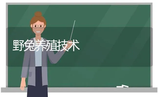 野兔养殖技术 | 家畜养殖