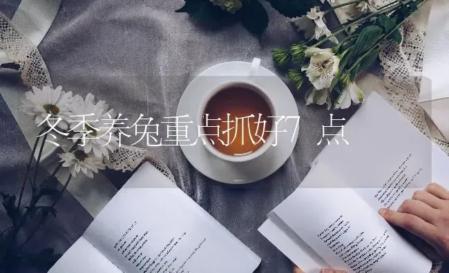 冬季养兔重点抓好7点 | 家畜养殖