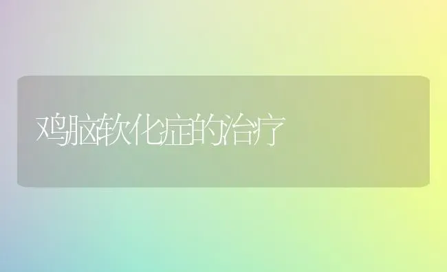 鸡脑软化症的治疗 | 家禽养殖