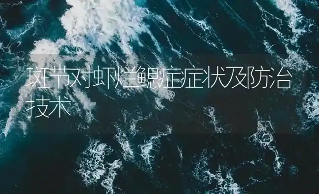 斑节对虾烂鳃症症状及防治技术 | 养殖病虫害防治