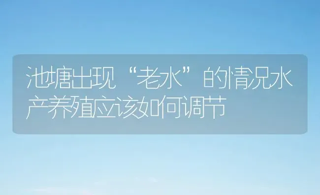 池塘出现“老水”的情况水产养殖应该如何调节 | 动物养殖百科