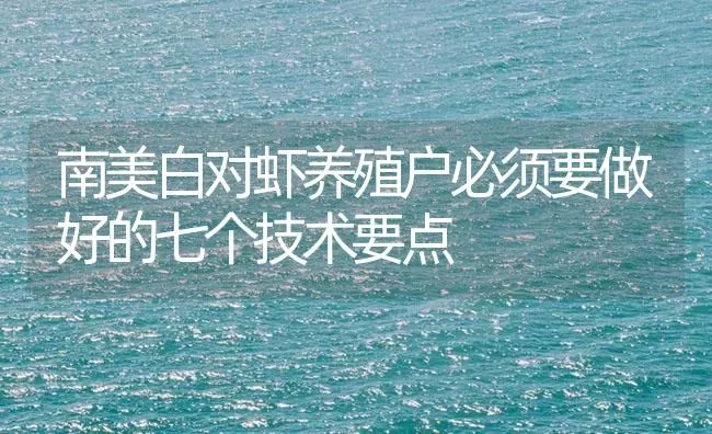南美白对虾养殖户必须要做好的七个技术要点 | 海水养殖