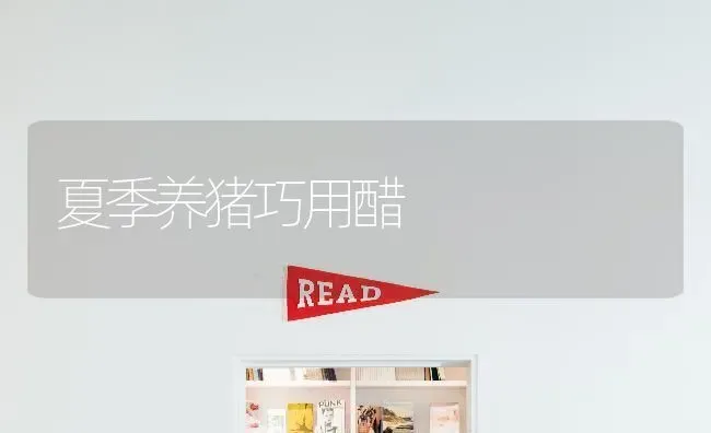 夏季养猪巧用醋 | 家畜养殖