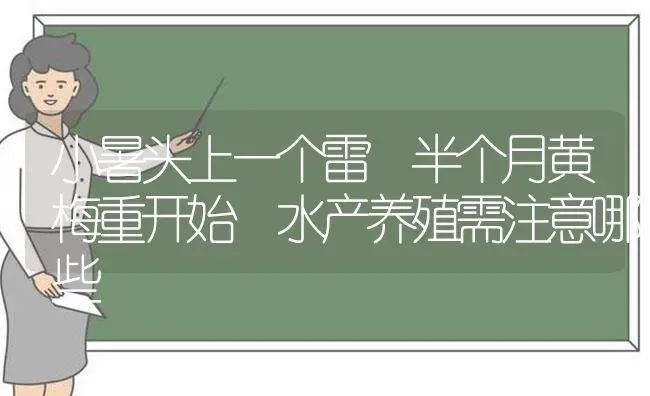 小暑头上一个雷 半个月黄梅重开始 水产养殖需注意哪些 | 动物养殖百科