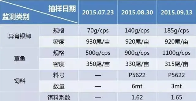 小规格异育银鲫草鱼混养实证一例