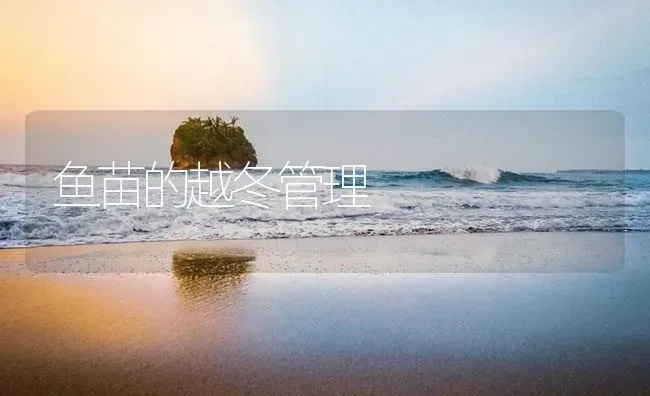 鱼苗的越冬管理 | 淡水养殖
