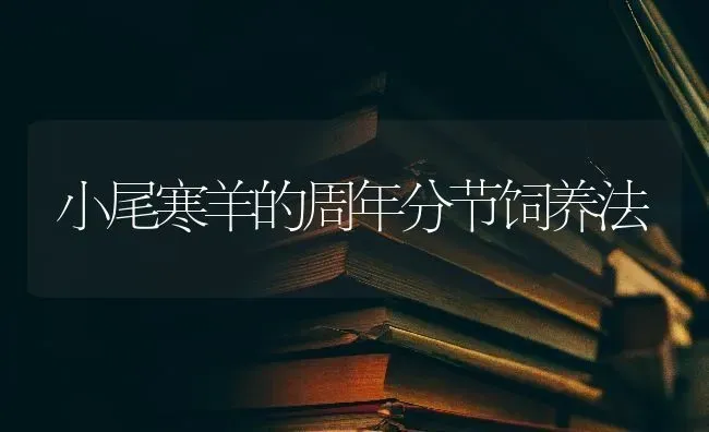 小尾寒羊的周年分节饲养法 | 家畜养殖