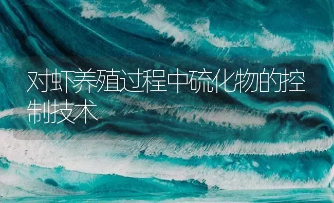 对虾养殖过程中硫化物的控制技术 | 海水养殖