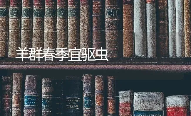 羊群春季宜驱虫 | 家畜养殖