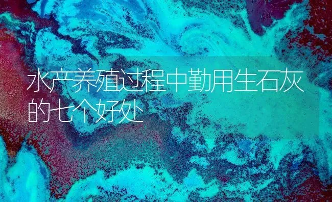 水产养殖过程中勤用生石灰的七个好处 | 动物养殖百科