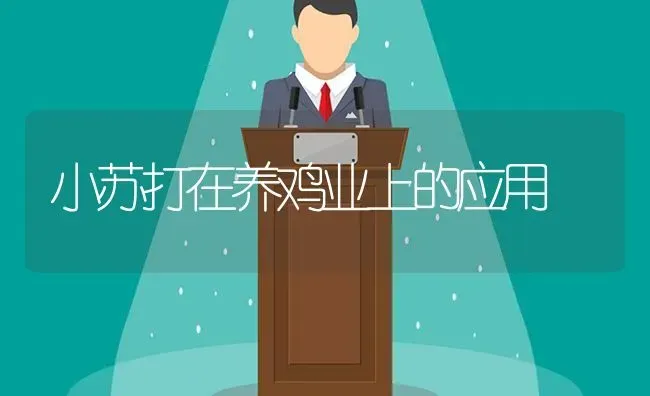 小苏打在养鸡业上的应用 | 家禽养殖