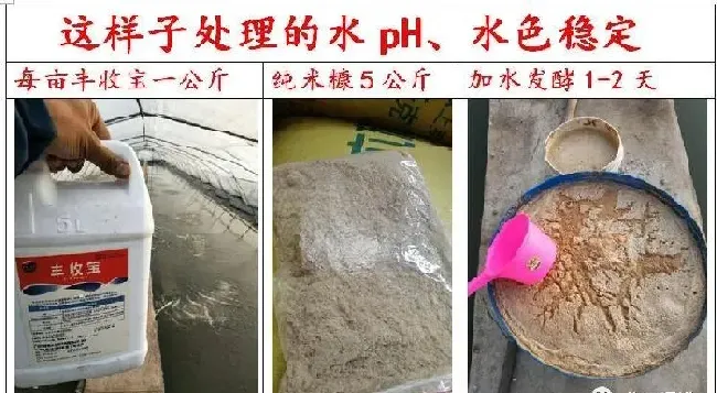 夏造对虾长不大？看看是不是这四大方面的原因！