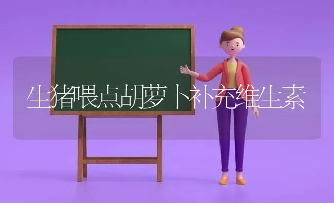 生猪喂点胡萝卜补充维生素 | 家畜养殖