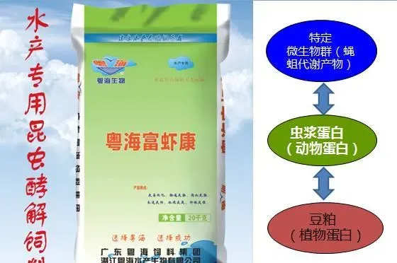 冬棚养殖南美白对虾需要加强这几点，你知道吗？