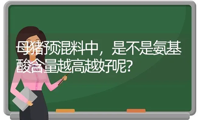 母猪预混料中，是不是氨基酸含量越高越好呢？ | 家畜养殖