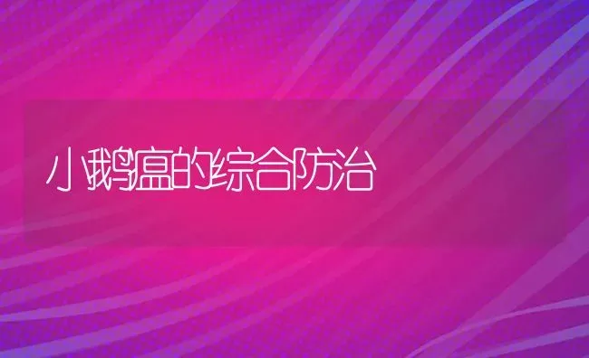 小鹅瘟的综合防治 | 家禽养殖