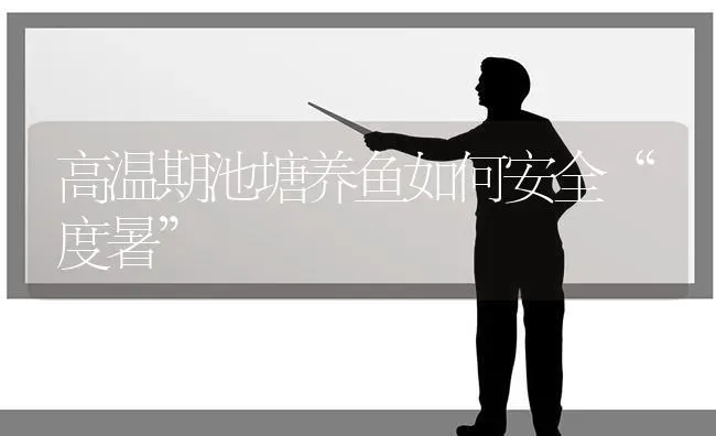 高温期池塘养鱼如何安全“度暑” | 动物养殖百科