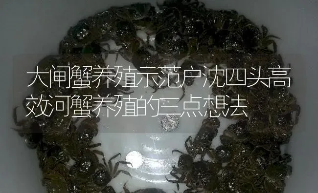河蟹软壳病产生的原因和防治方法 | 淡水养殖