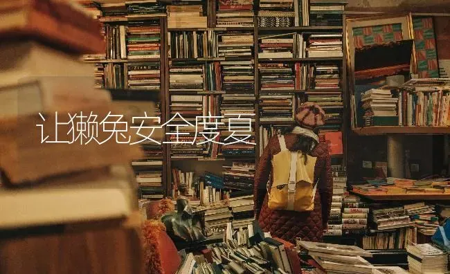 让獭兔安全度夏 | 家畜养殖
