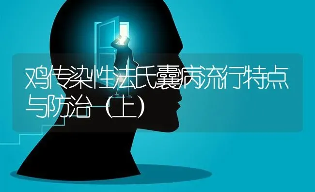 鸡传染性法氏囊病流行特点与防治（上） | 家禽养殖